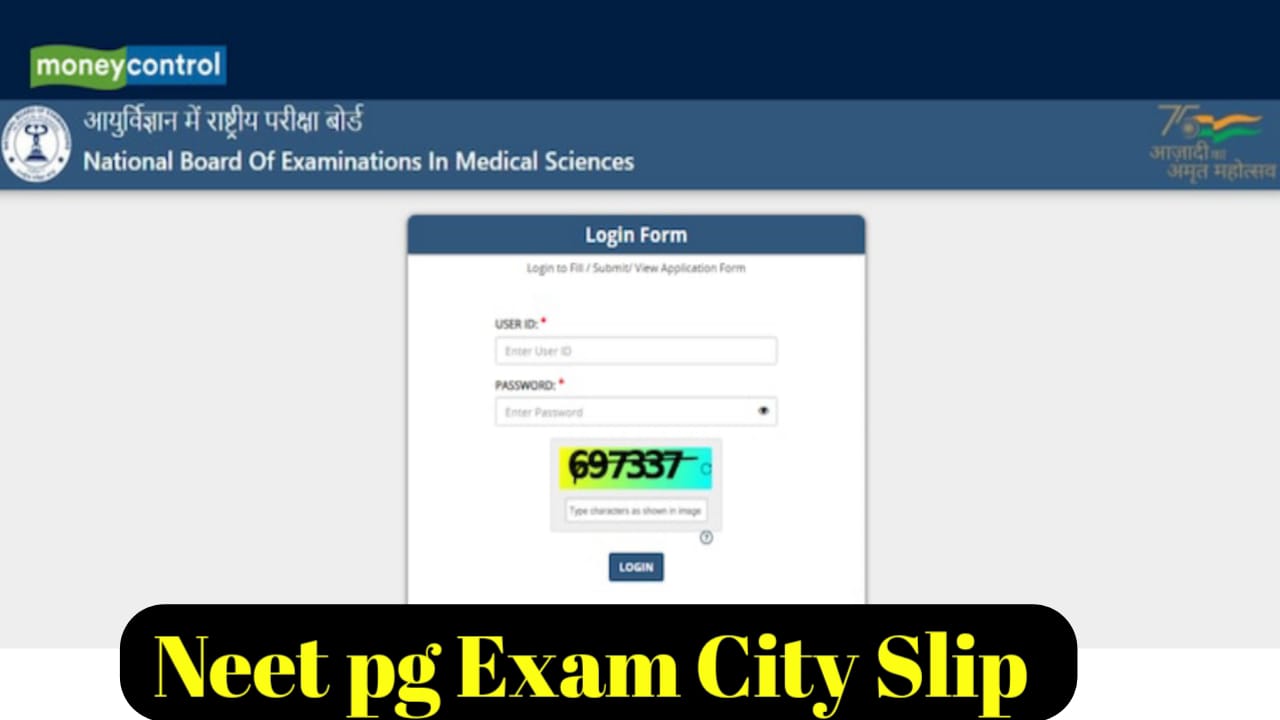 NEET SS Exam 2025 City Slip