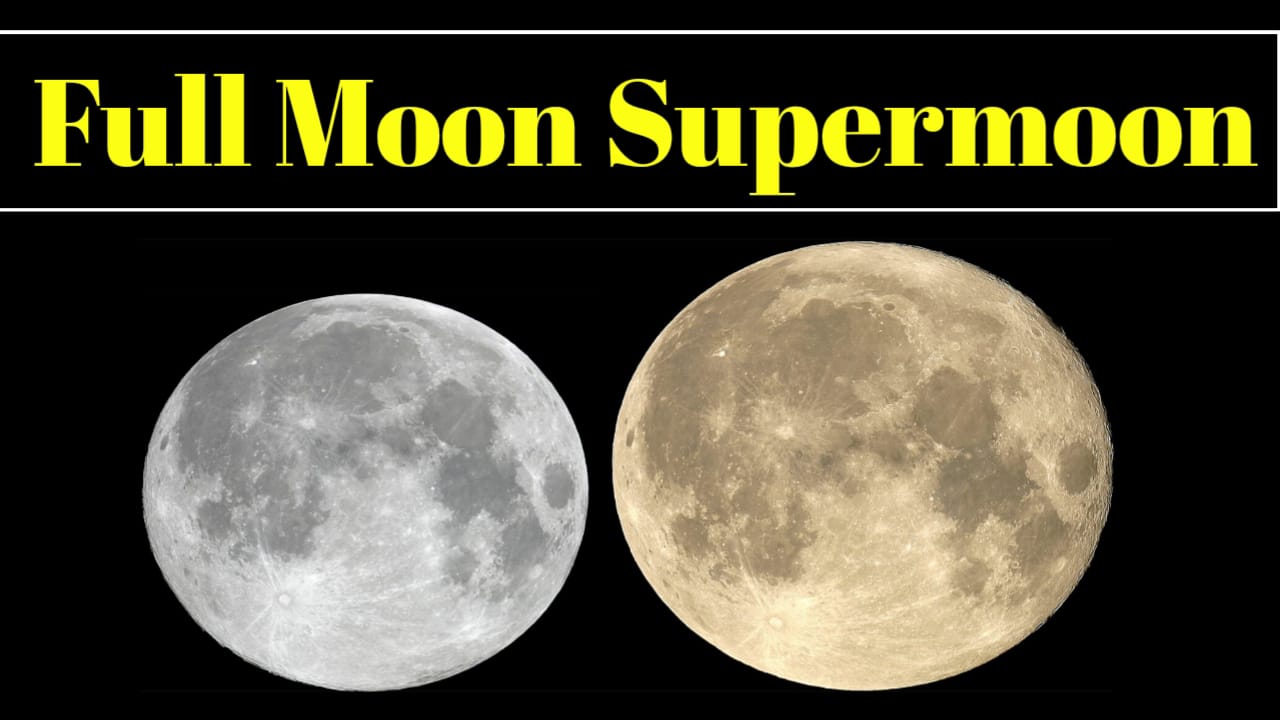 Full Moon Wolf Supermoon
